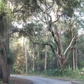 Review photo of Fort McAllister State Park Campground by L O., October 8, 2020