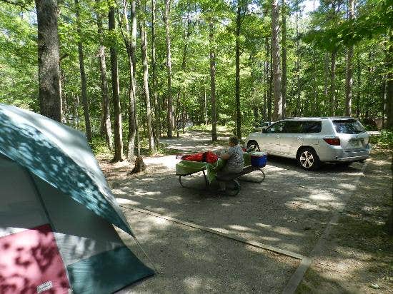 Camper submitted image from D.H. Day Campground — Sleeping Bear Dunes National Lakeshore - 3