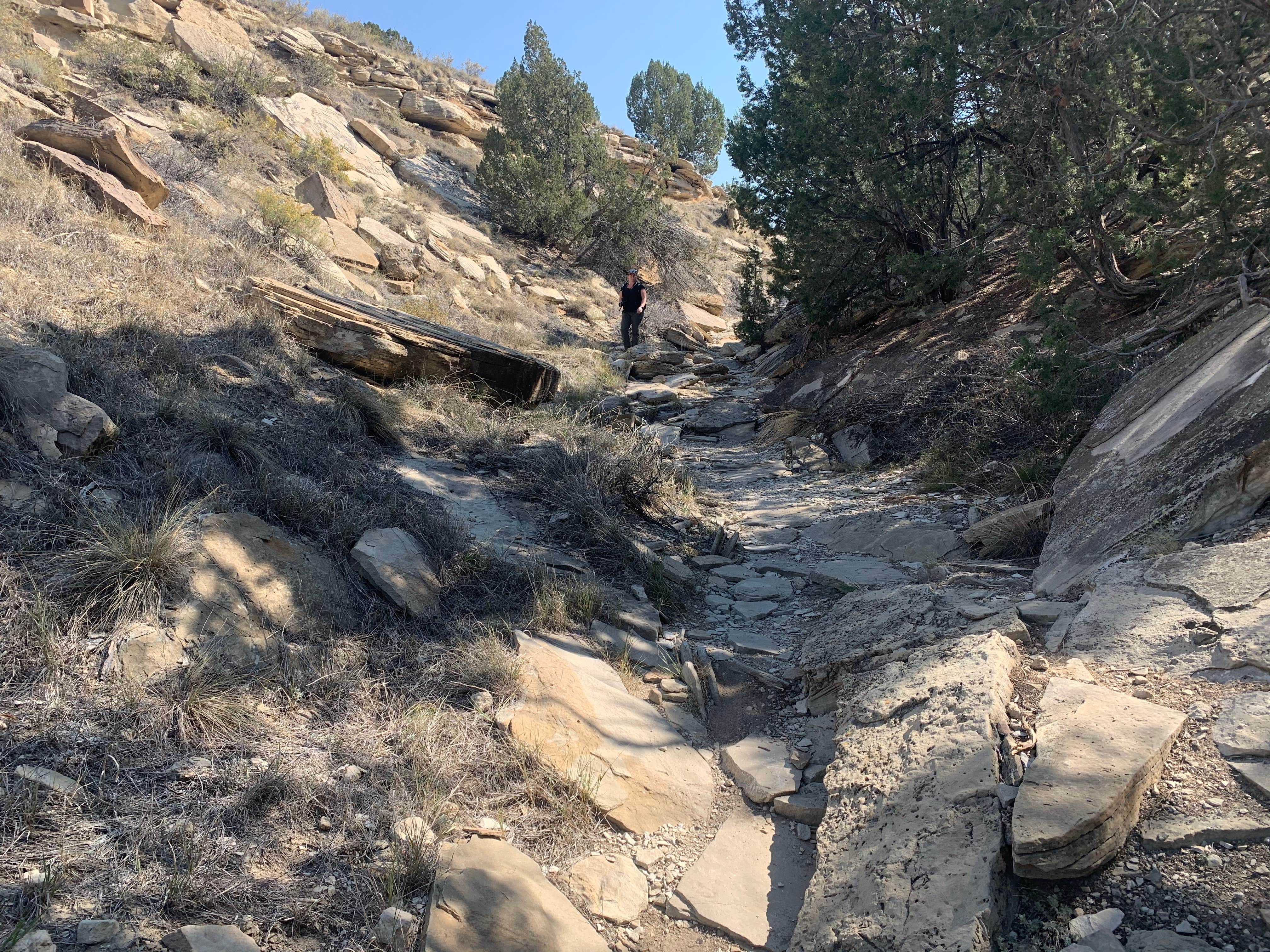 Camper-submitted photo at Arkansas Point Campground — Lake Pueblo State Park near PSICC