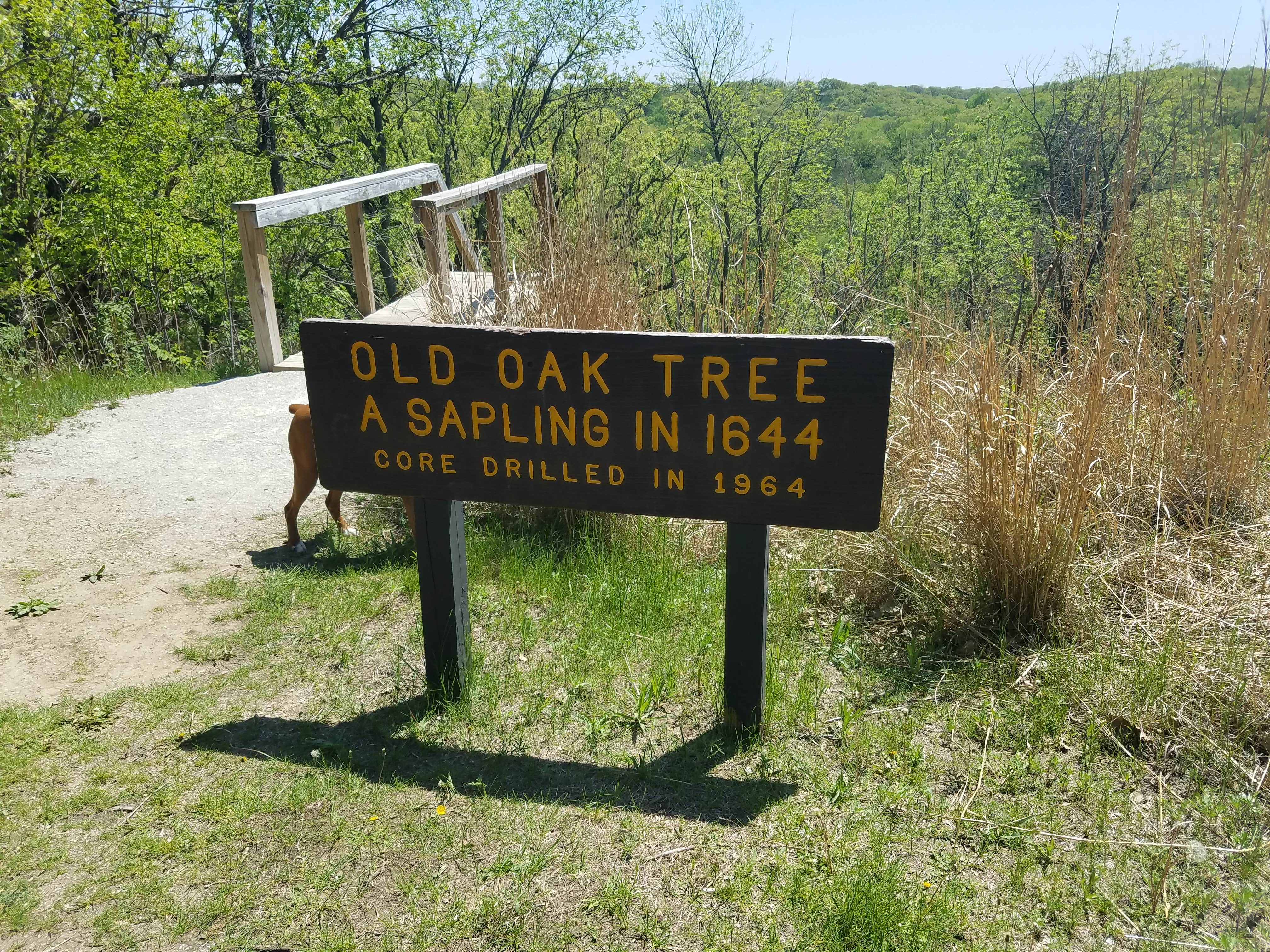 Camper-submitted photo at Riverfront Campground — Ponca State Park near Sioux City, IA