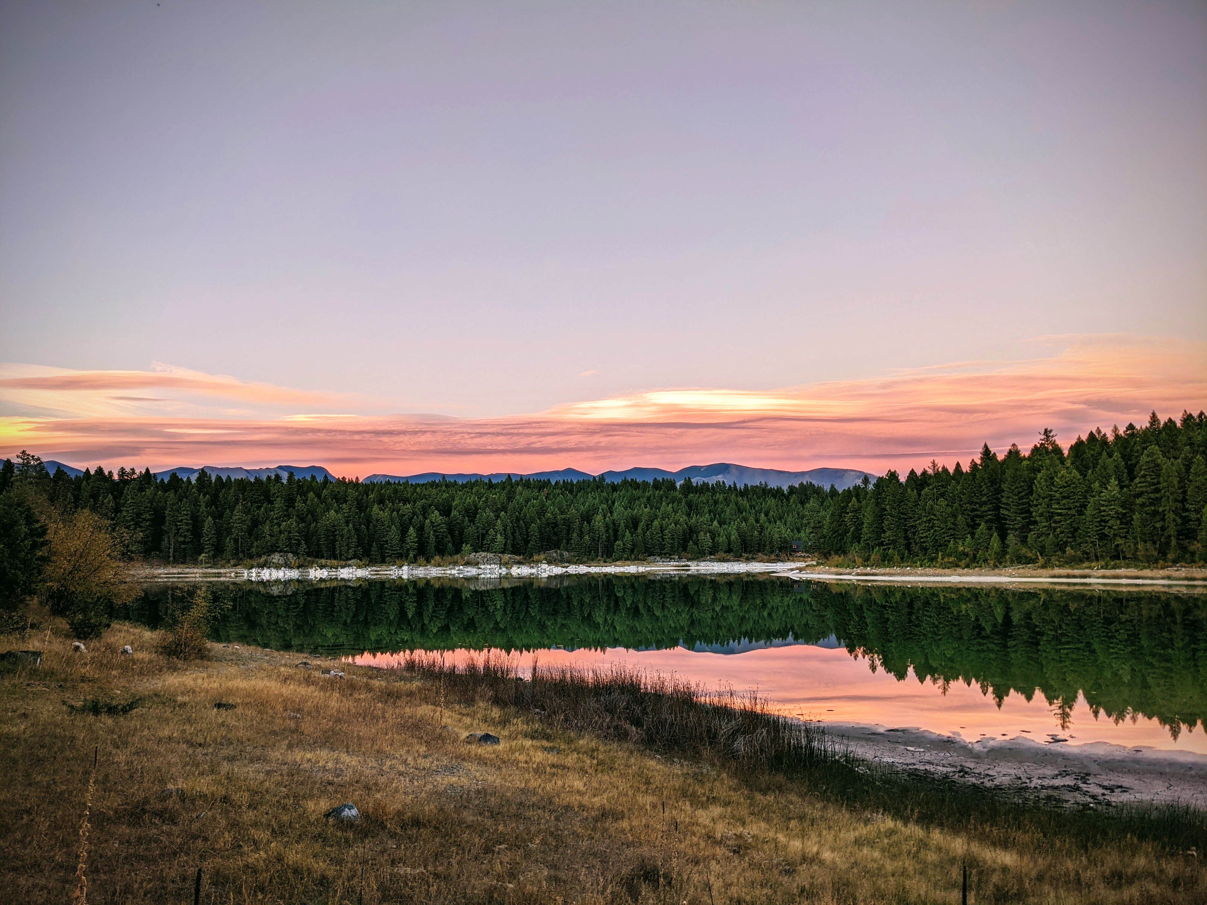 View All