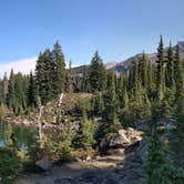 Review photo of Jefferson Park Area - Mt. Jefferson Wilderness by Julian P., October 8, 2020