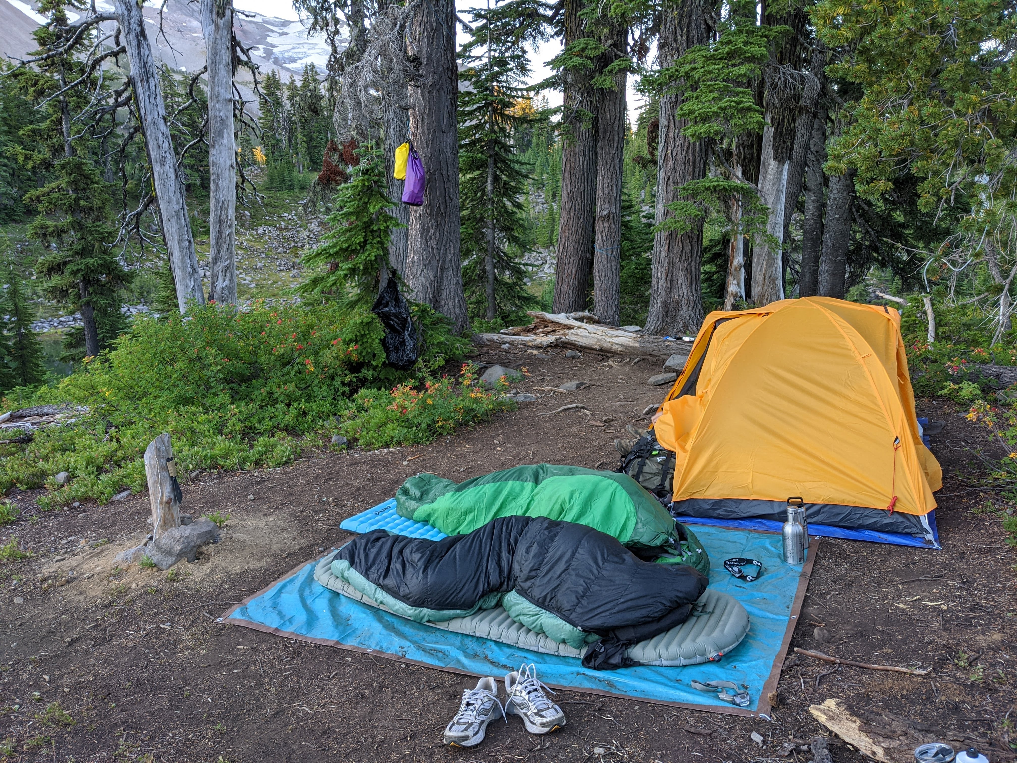 Camper submitted image from Jefferson Park Area - Mt. Jefferson Wilderness - 1