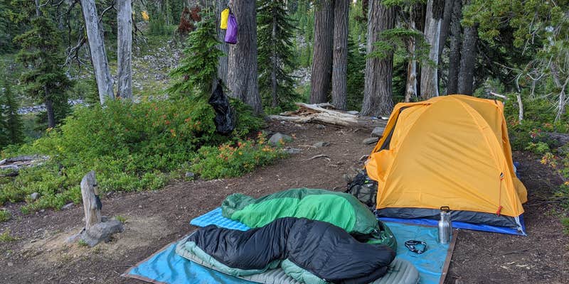 Camper submitted image from Jefferson Park Area - Mt. Jefferson Wilderness