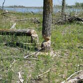 Review photo of Riverfront Campground — Ponca State Park by Molly M., May 20, 2018