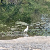 Review photo of McKinney Falls State Park Campground by Heather B., October 8, 2020