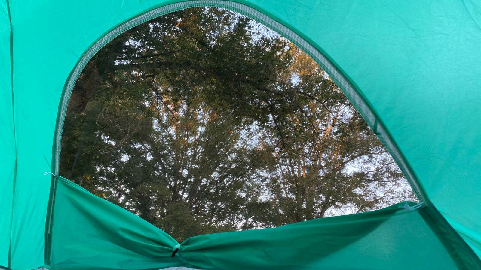 L O.'s photo at George L. Smith State Park Campground near Swainsboro, GA