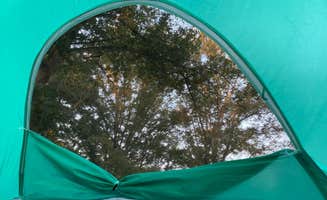 L O.'s photo at George L. Smith State Park Campground near Dublin, GA
