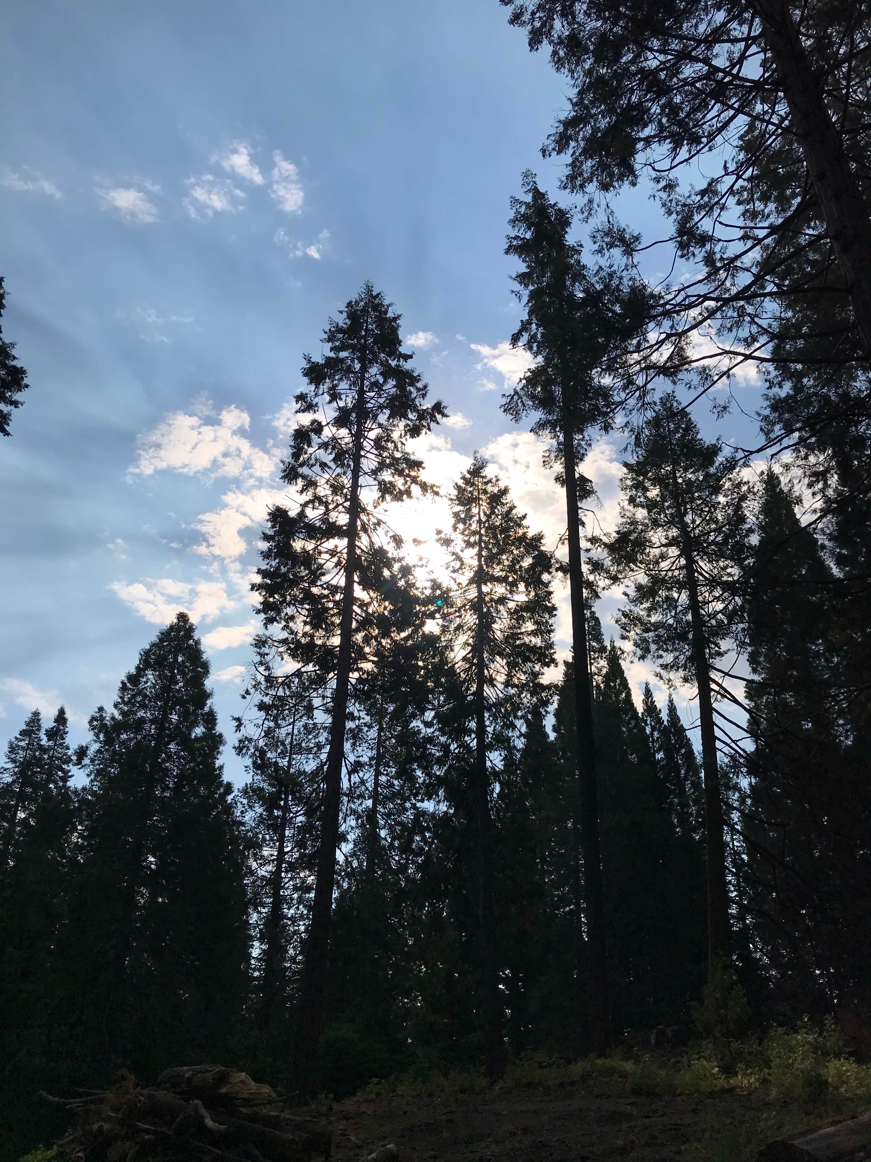 Camper-submitted photo at Dorabelle Campground near Big Creek, CA