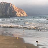 Review photo of Morro Strand State Beach Campground by Margo A., October 8, 2020