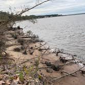 Review photo of Crooked River State Park Campground by Jenn B., October 8, 2020