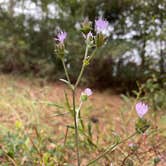 Review photo of Crooked River State Park Campground by Jenn B., October 8, 2020