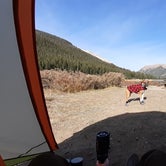 Review photo of Portal Campground by Jordan K., October 8, 2020