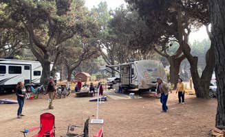 Rosina A.'s photo at Manchester Beach / Mendocino Coast KOA near Point Arena, CA