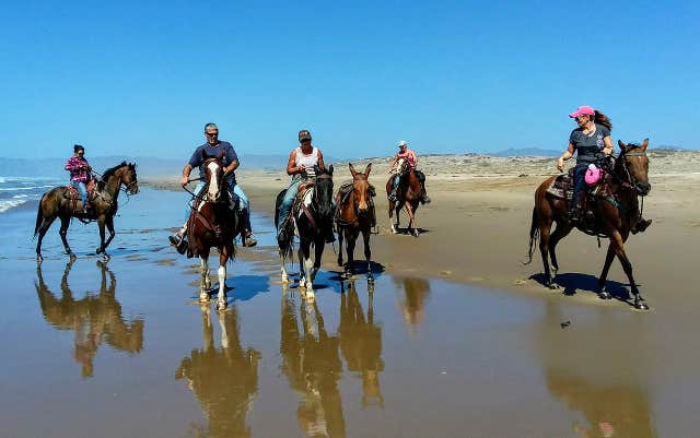 Margo A.'s photo of camping with a horse at Islay Creek Campground — Montaña de Oro State Park near Grover Beach, CA