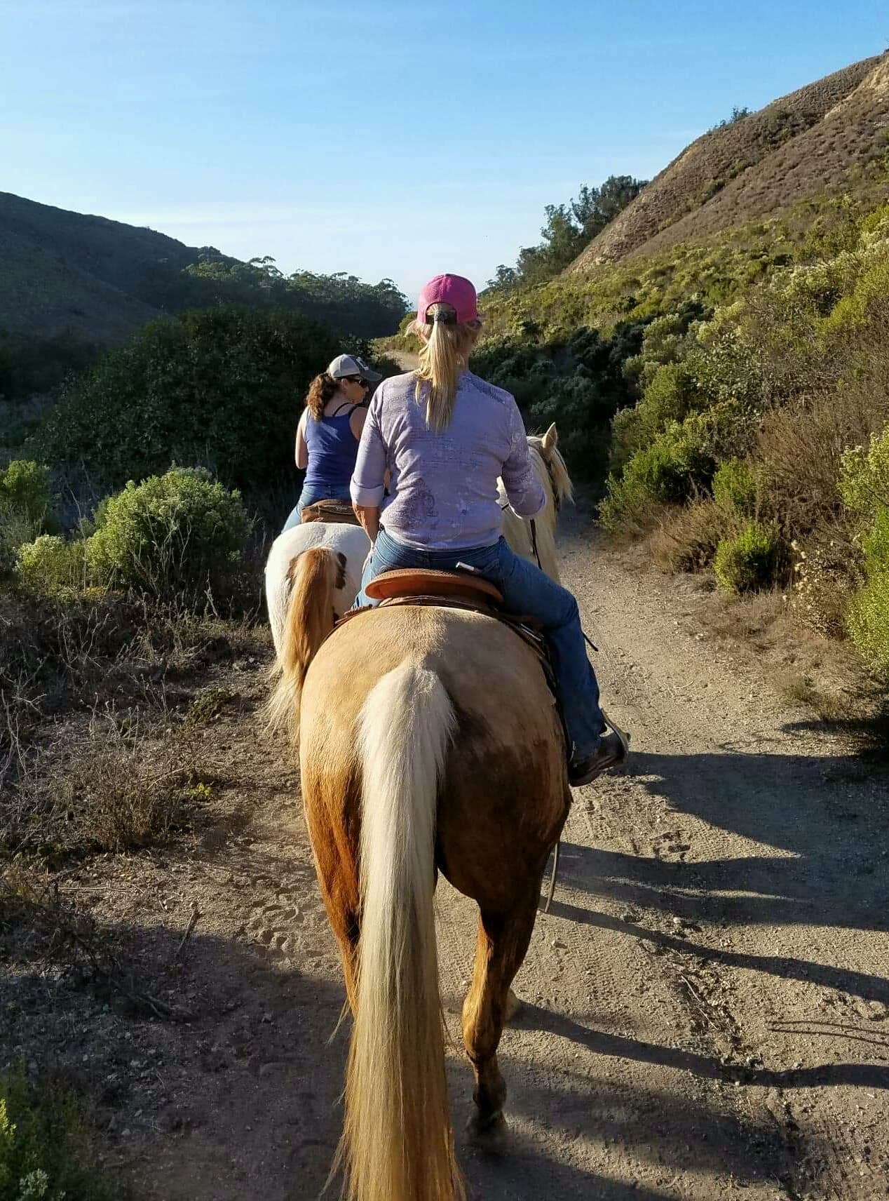 Margo A.'s photo of camping with a horse at Islay Creek Campground — Montaña de Oro State Park near Pismo Beach, CA