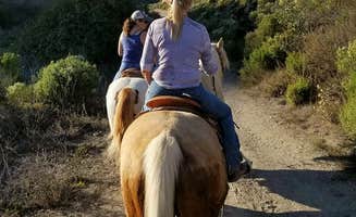 Margo A.'s photo of camping with a horse at Islay Creek Campground — Montaña de Oro State Park near Pismo Beach, CA