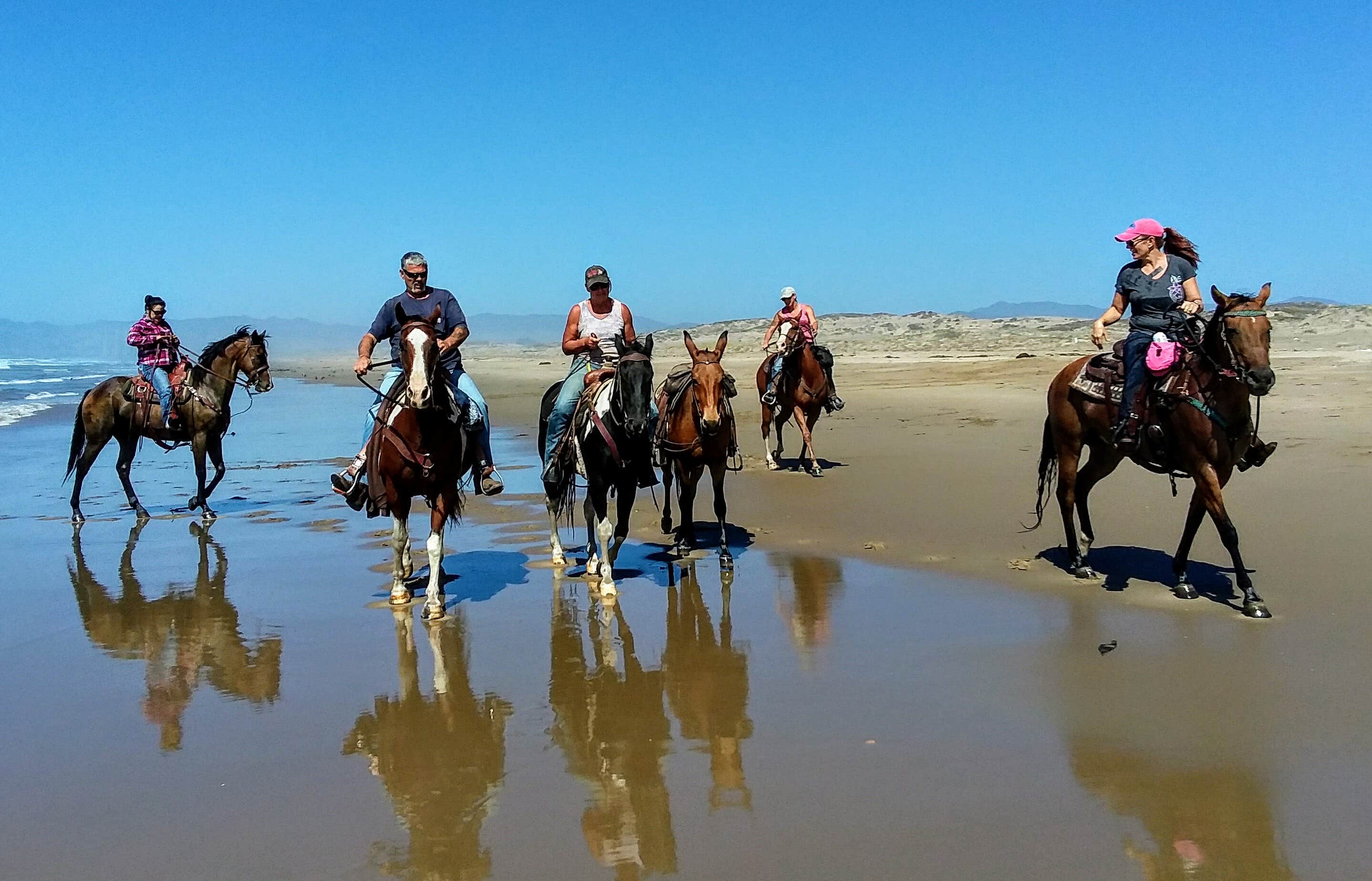 Margo A.'s photo of camping with a horse at Islay Creek Campground — Montaña de Oro State Park near Paso Robles, CA
