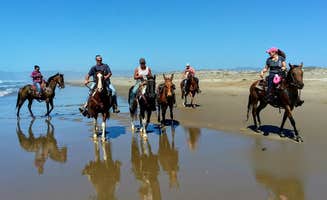 Margo A.'s photo of camping with a horse at Islay Creek Campground — Montaña de Oro State Park near Pismo Beach, CA