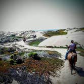 Review photo of Montaña de Oro State Park by Margo A., October 8, 2020