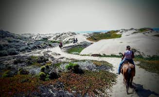 Margo A.'s photo of camping with a horse at Islay Creek Campground — Montaña de Oro State Park near Pismo Beach, CA