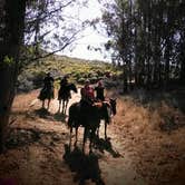 Review photo of Montaña de Oro State Park by Margo A., October 8, 2020