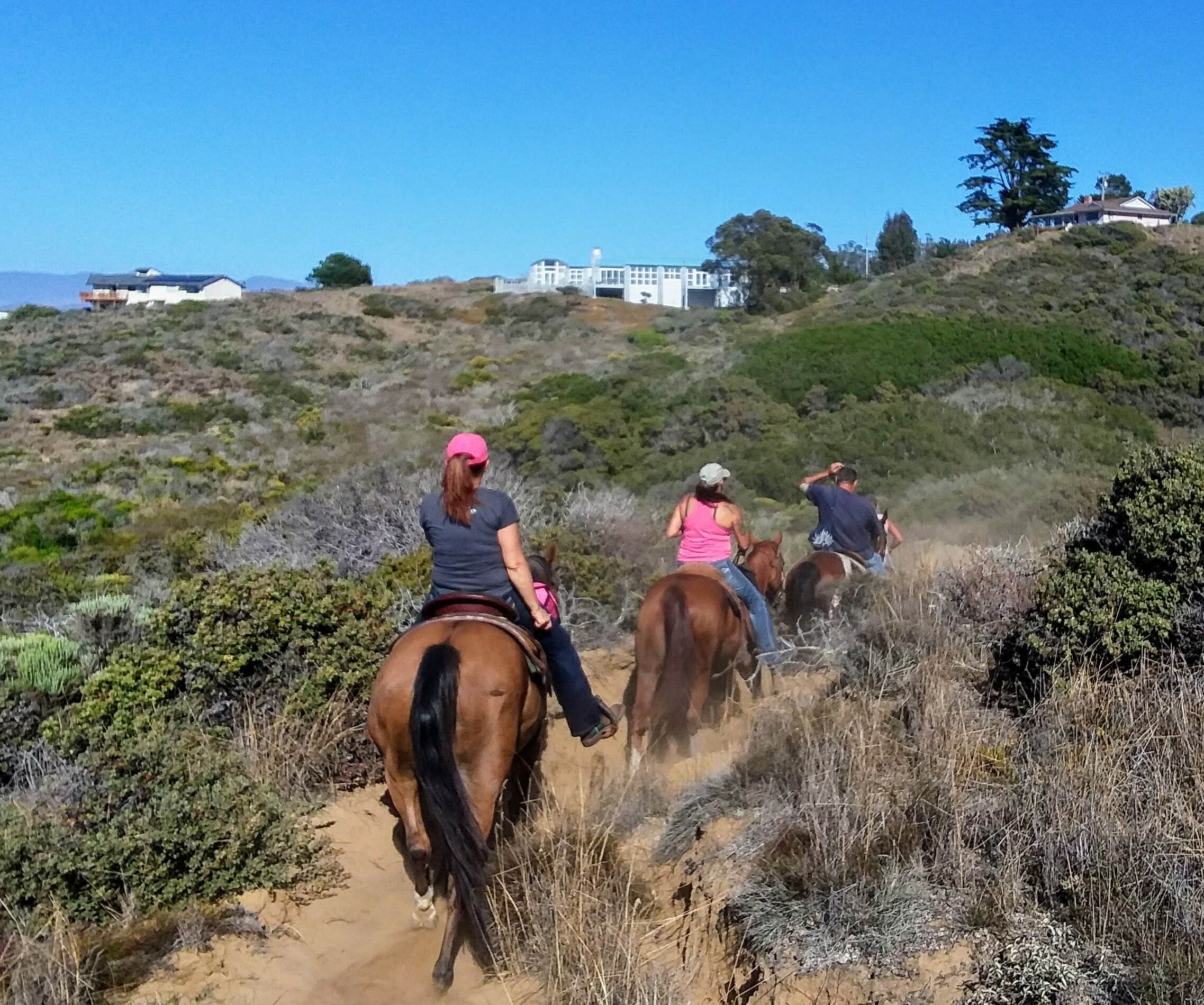 Margo A.'s photo of camping with a horse at Islay Creek Campground — Montaña de Oro State Park near Orcutt, CA