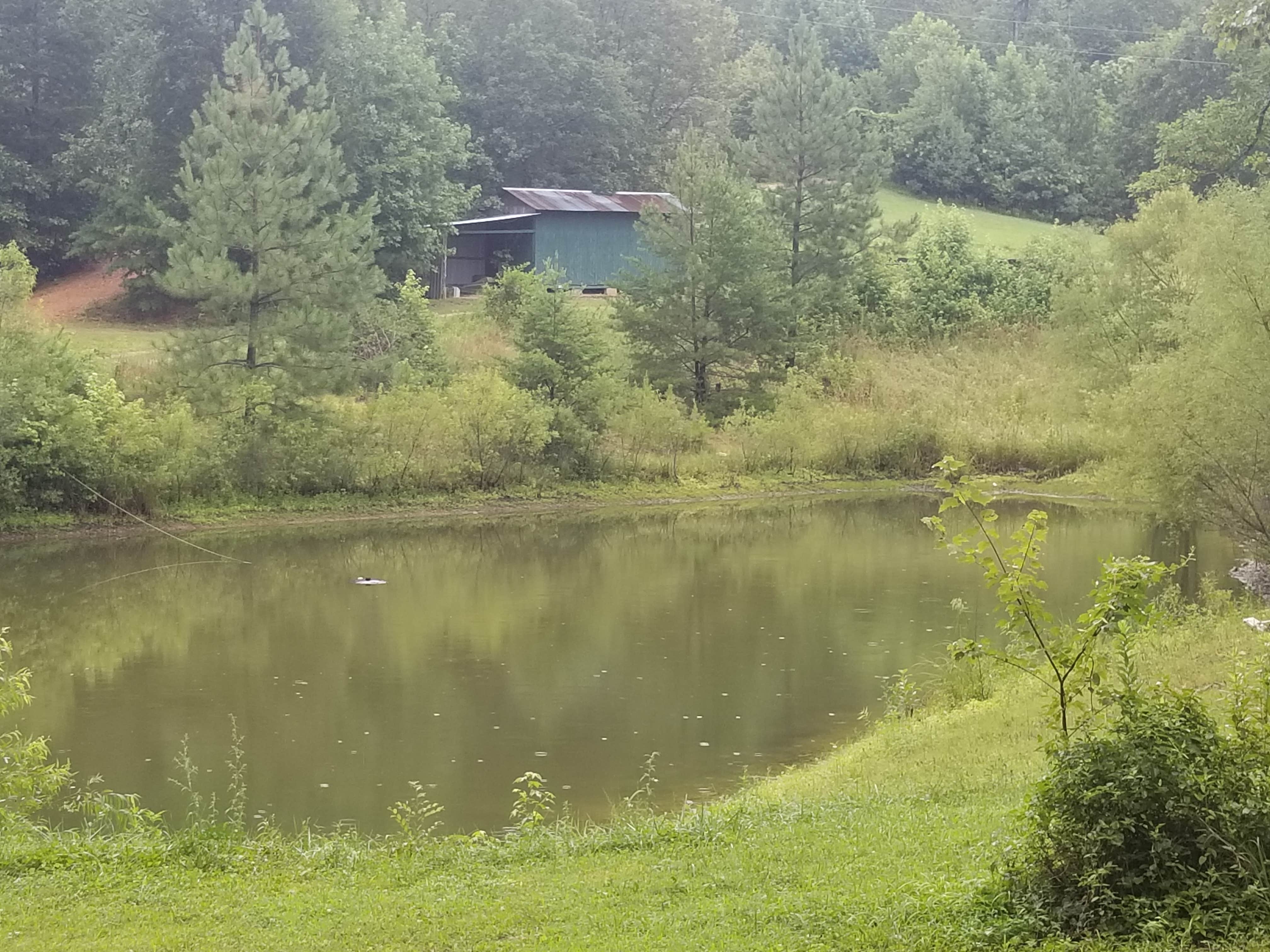 Camper submitted image from I 40 Hideaway - 5