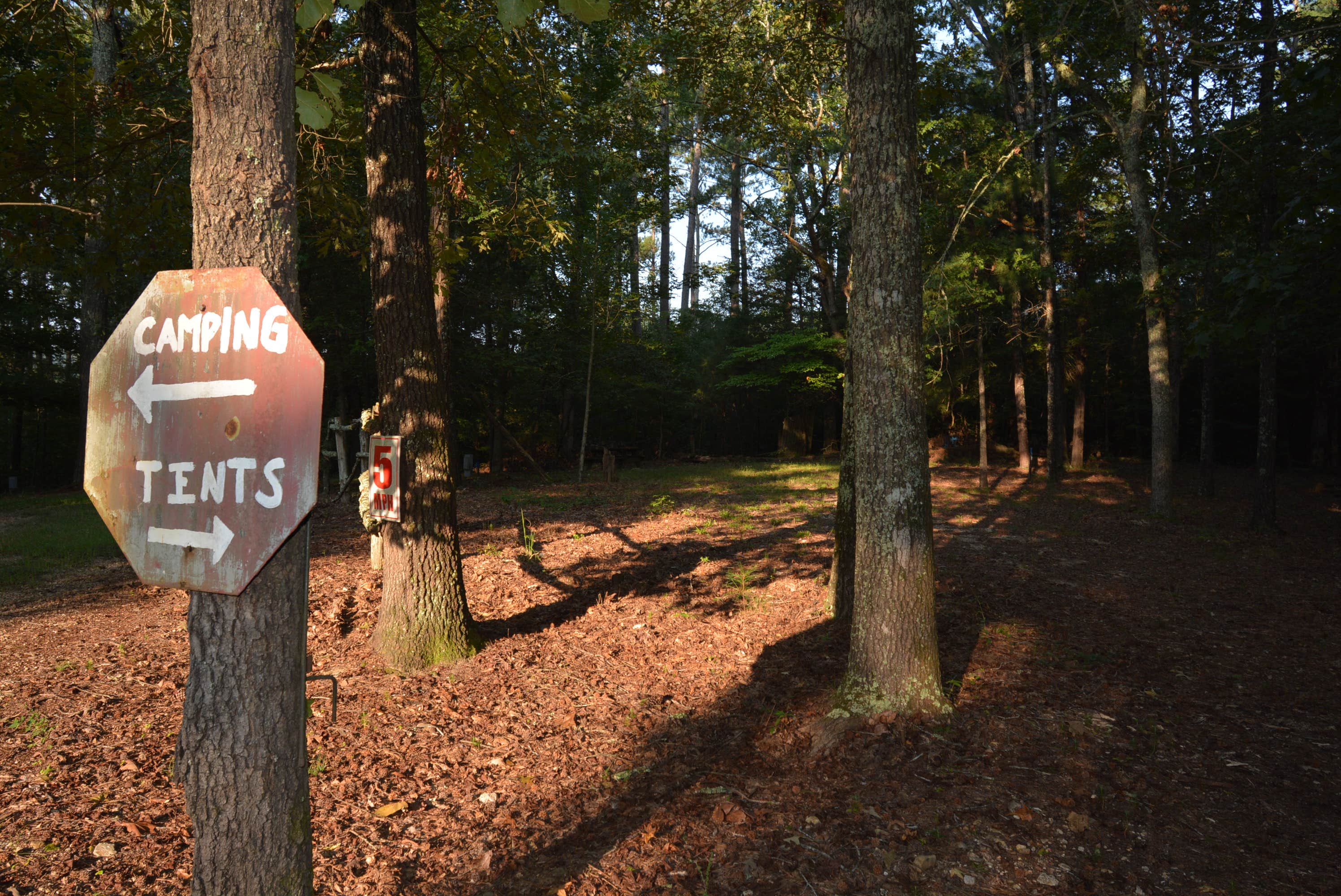 Camper-submitted photo at I 40 Hideaway near New Johnsonville, TN