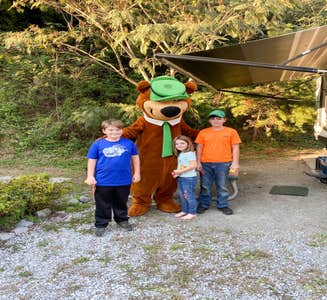 Camper-submitted photo from Yogi Bear's Jellystone Park at Pigeon Forge