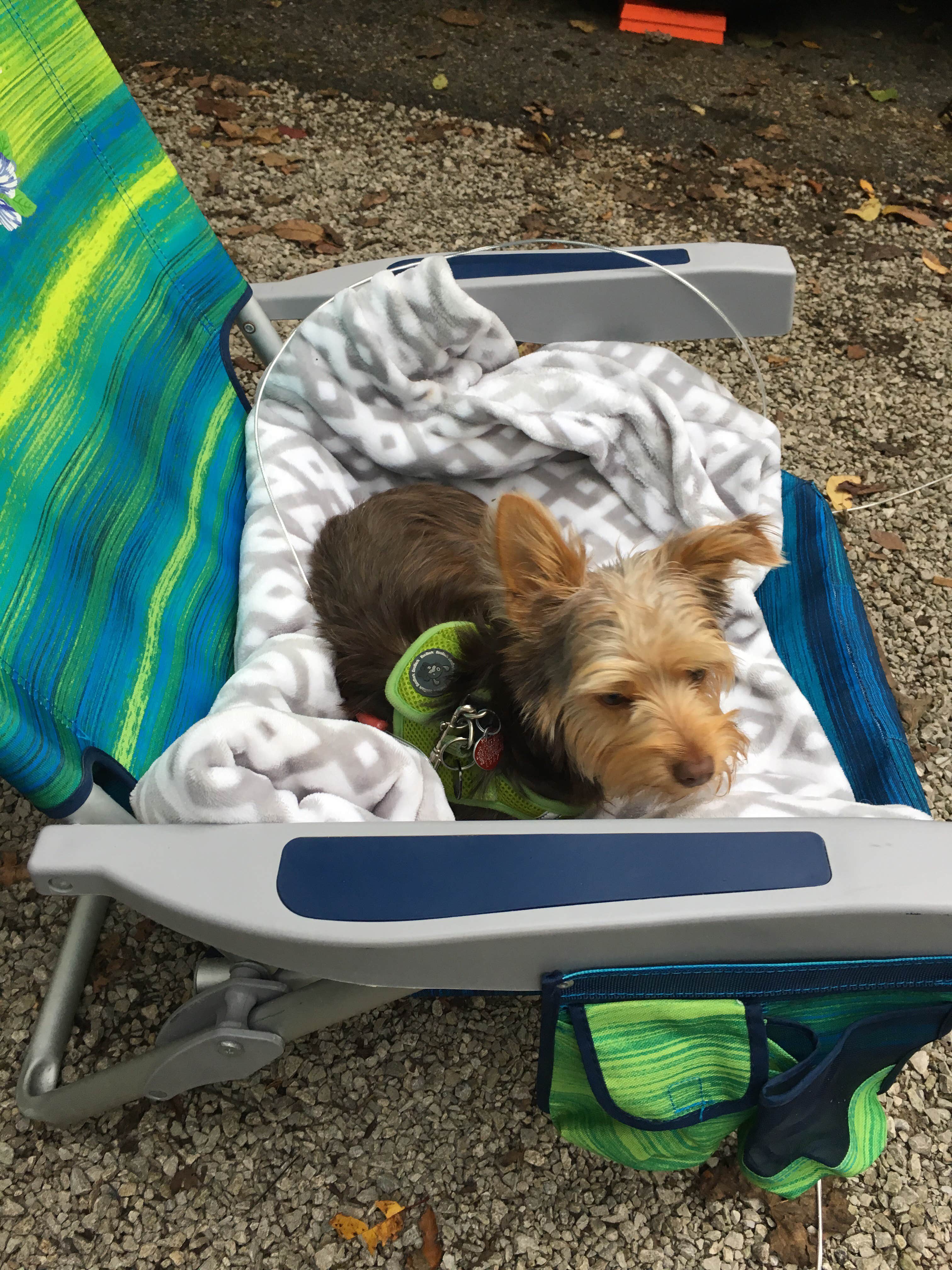 Caleb C.'s photo of camping with pets at Charlestown State Park Campground near Louisville, KY