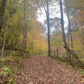 Review photo of Twin Valley Campground — Governor Dodge State Park by Catherine F., October 8, 2020