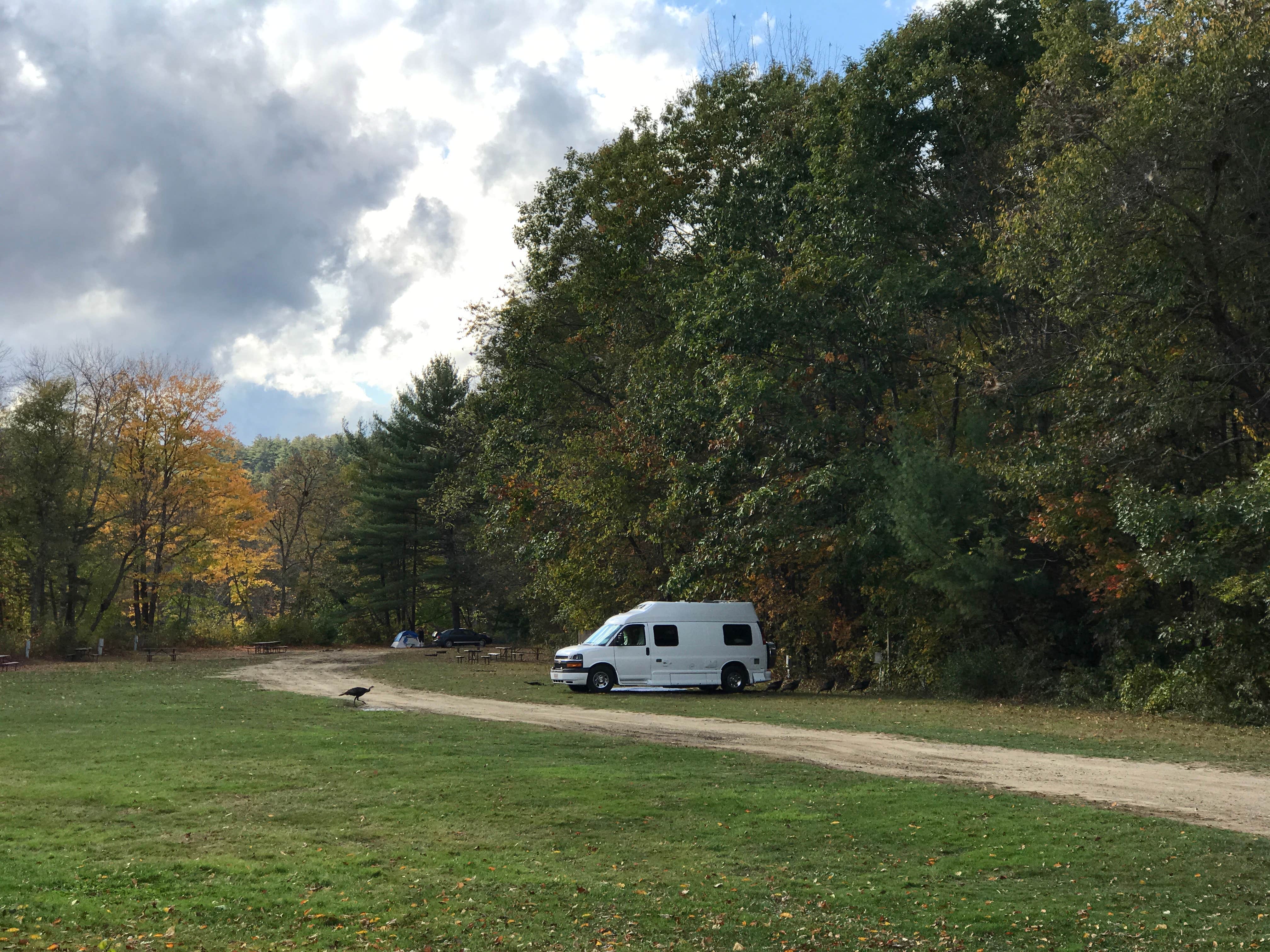 Camper submitted image from Branch Brook Campground - 5