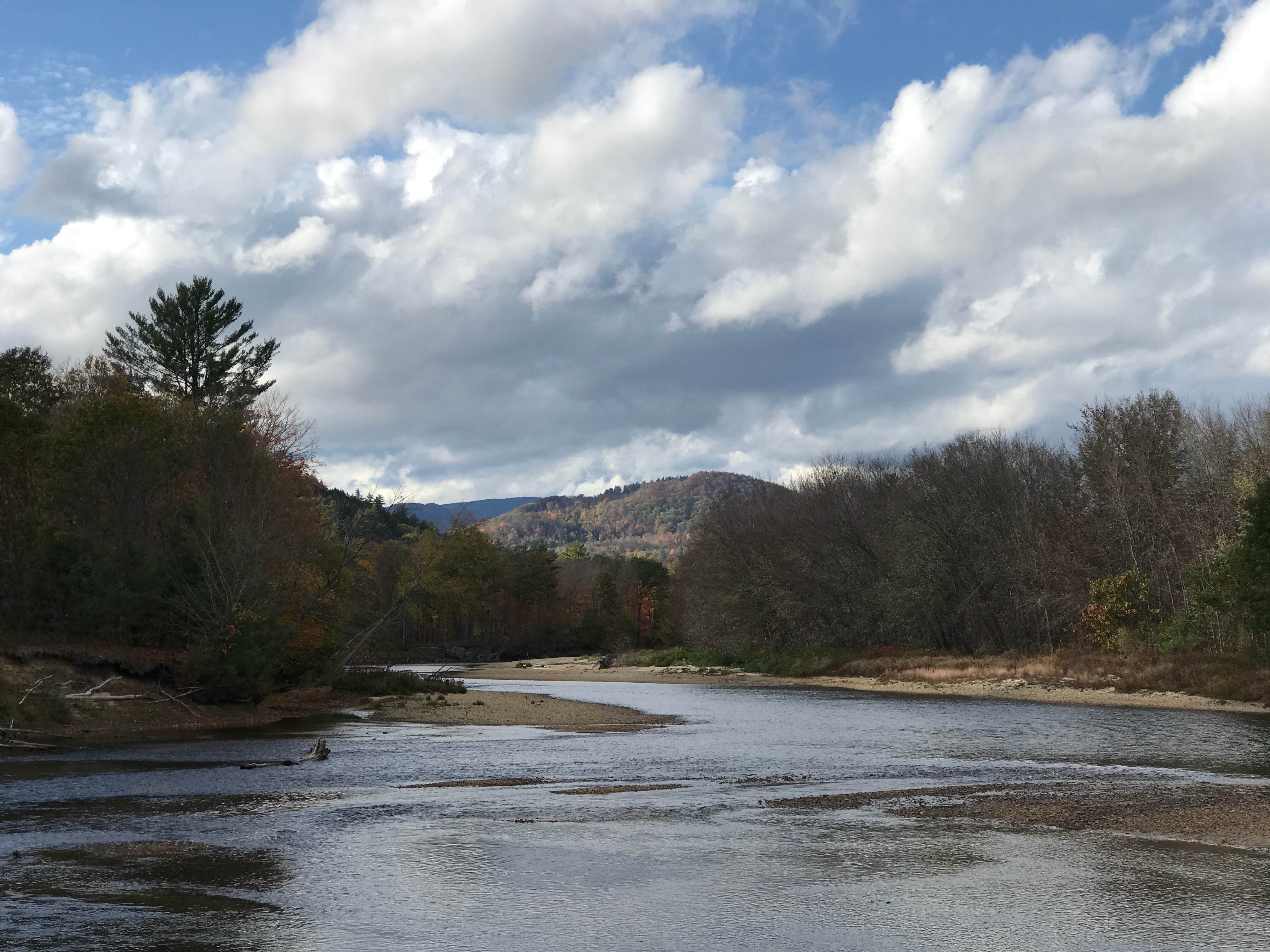 Camper submitted image from Branch Brook Campground - 2