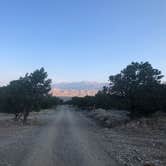 Review photo of Great Sand Dunes Oasis by Renee R., October 8, 2020