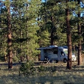 Review photo of Browns Creek (South) Dispersed Camping by Louise S., October 9, 2020