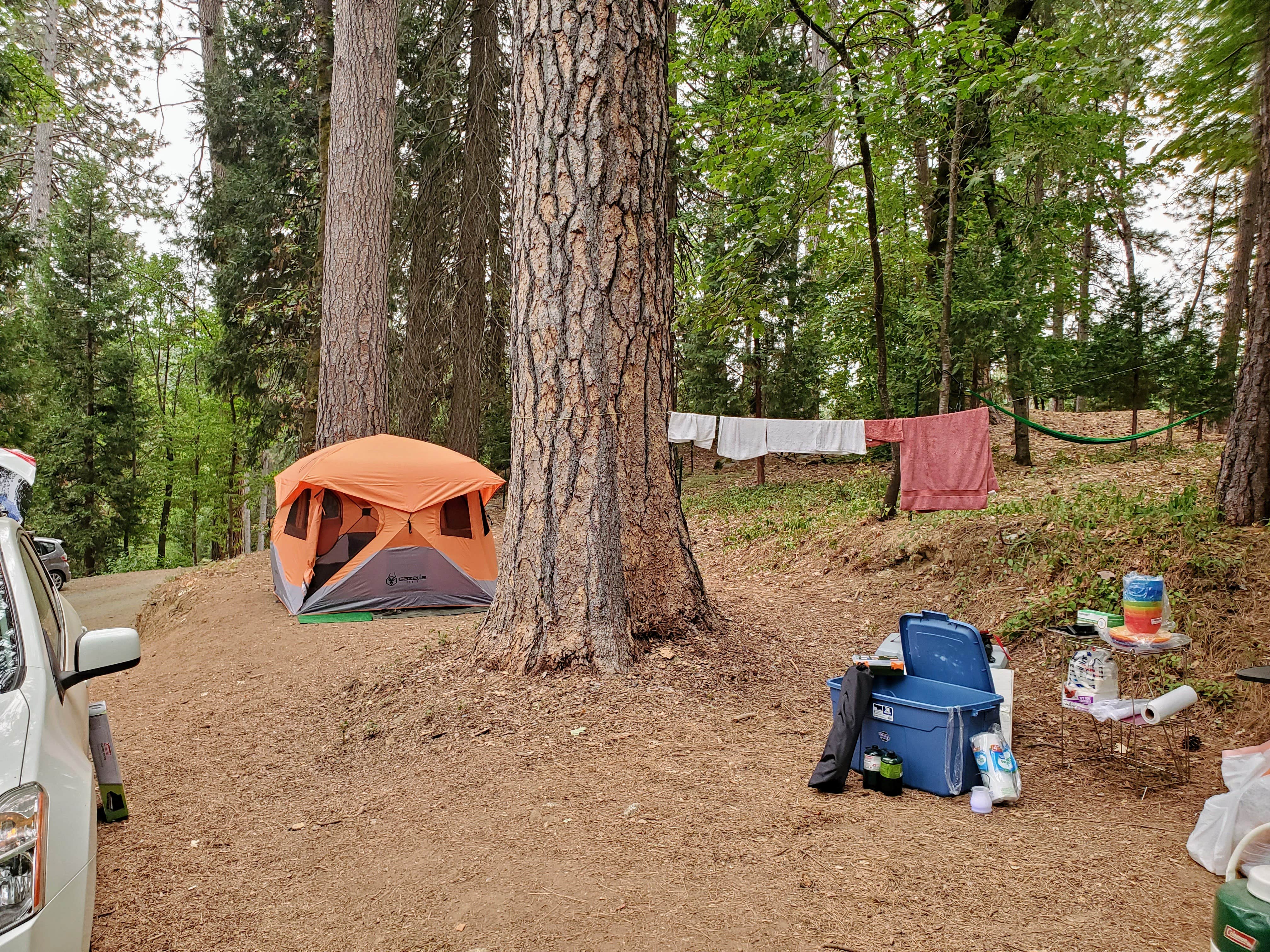 Nicole G.'s photo at Inntown Campground near Gold Run, CA