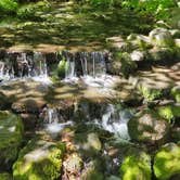 Review photo of Thousand Trails Yosemite Lakes by Nicole G., October 9, 2020