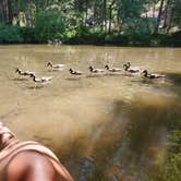 Review photo of Thousand Trails Yosemite Lakes by Nicole G., October 9, 2020