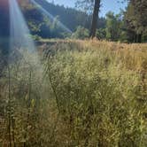 Review photo of Thousand Trails Yosemite Lakes by Nicole G., October 9, 2020