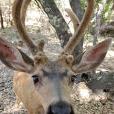 Review photo of Thousand Trails Lake of the Springs by Nicole G., October 9, 2020