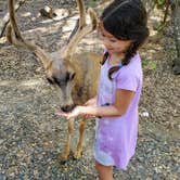 Review photo of Thousand Trails Lake of the Springs by Nicole G., October 9, 2020