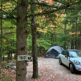 Review photo of Wilderness Edge Campground by Roger F., October 9, 2020