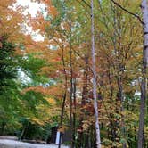 Review photo of Wilderness Edge Campground by Roger F., October 9, 2020