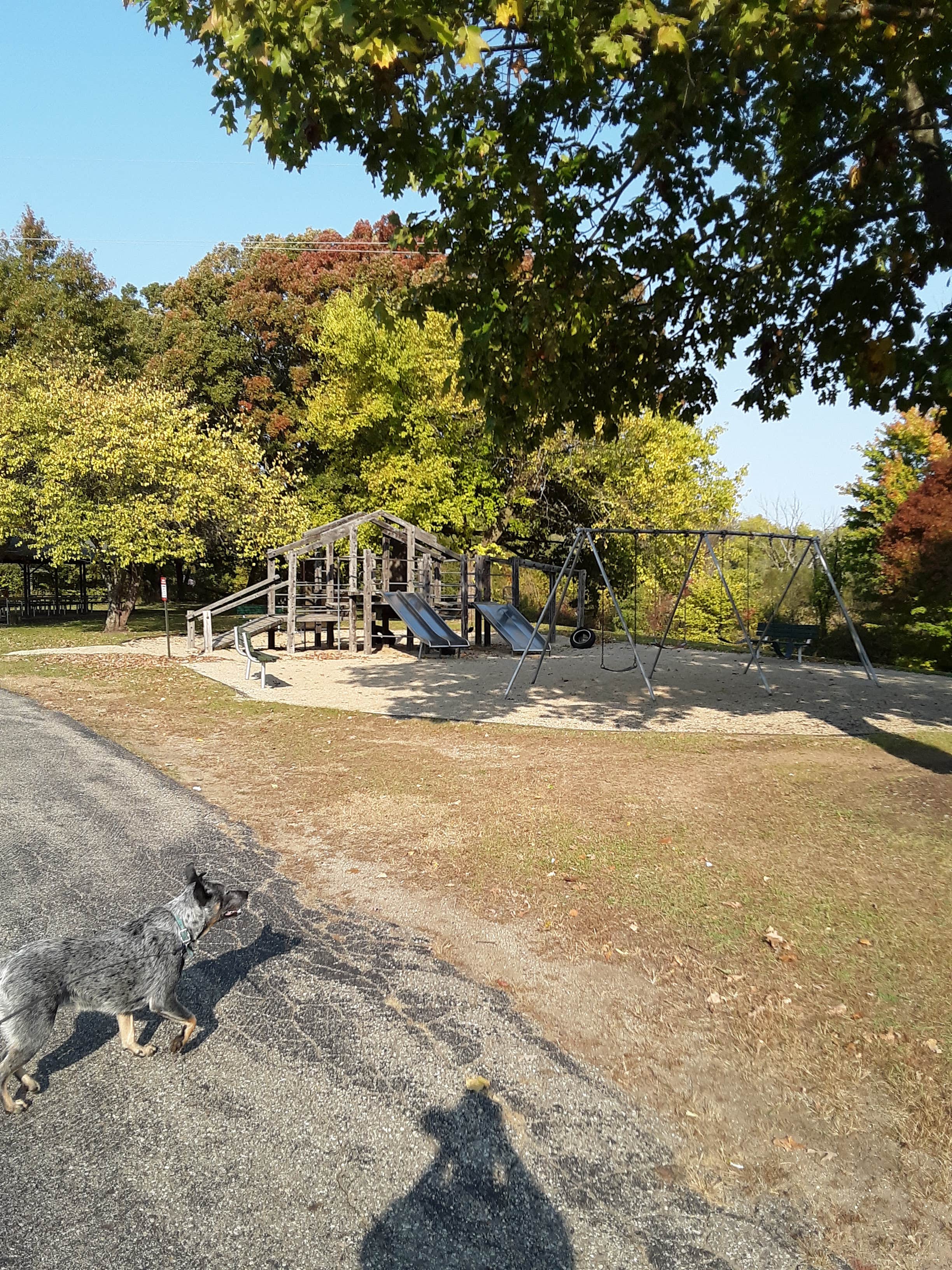 Camper-submitted photo at Brookside City Park near Allegan, MI