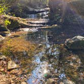 Review photo of Buffalo Point — Buffalo National River by Laura G., October 9, 2020