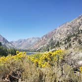 Review photo of Lundy Lake Campground by Ashley S., October 9, 2020