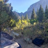 Review photo of Lundy Lake Campground by Ashley S., October 9, 2020