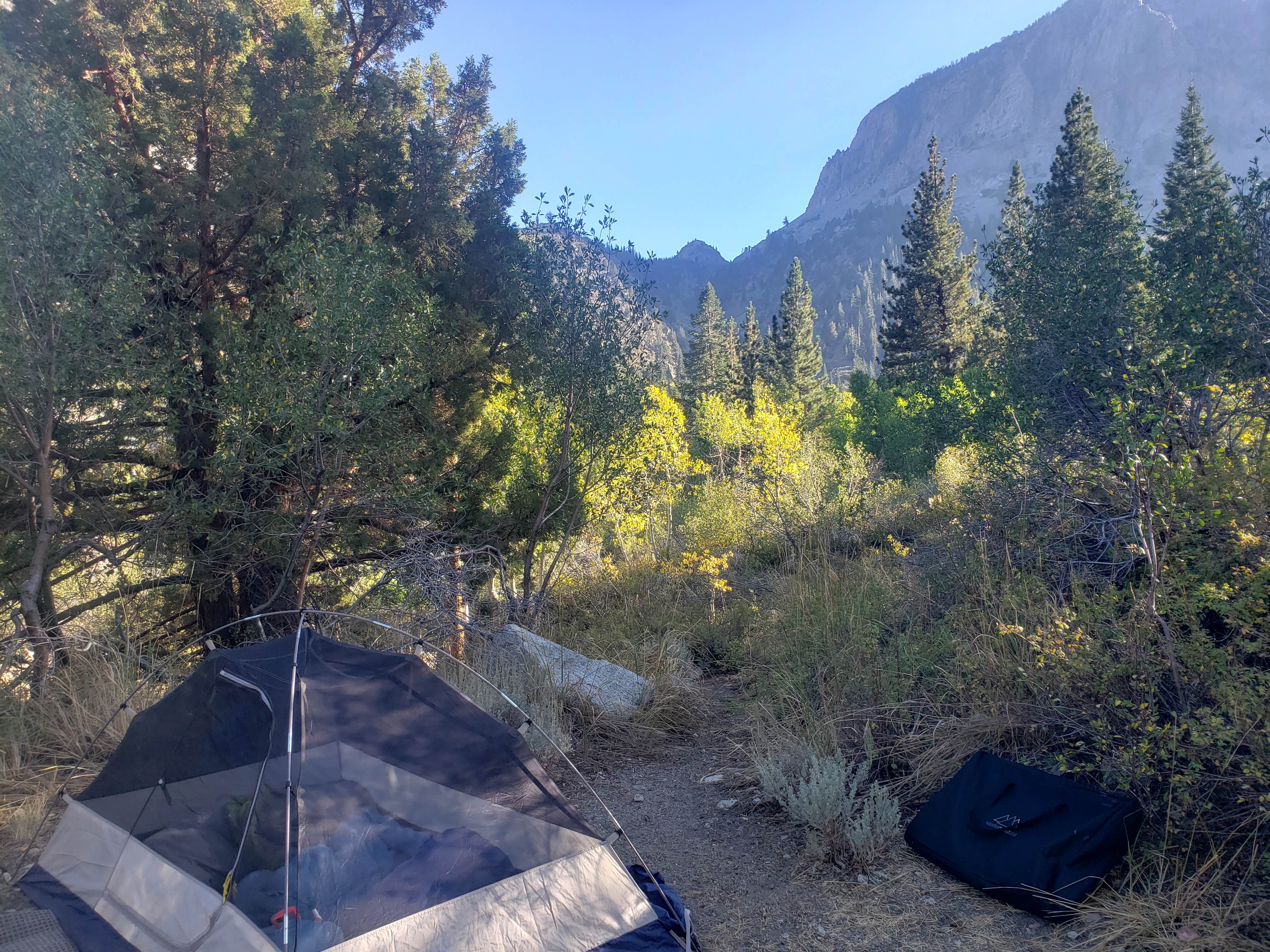 Camper submitted image from Lundy Lake Campground - 3