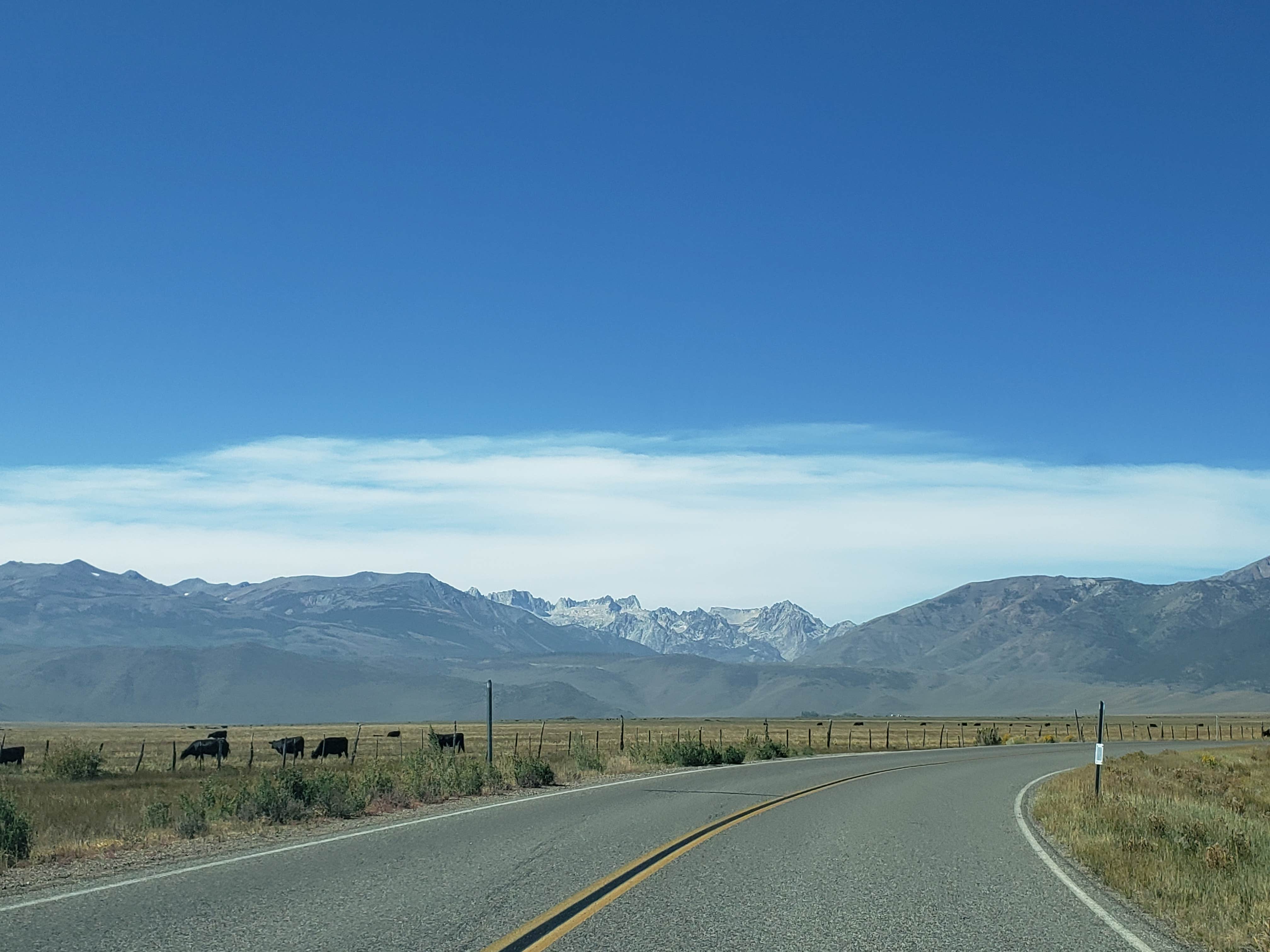 View All